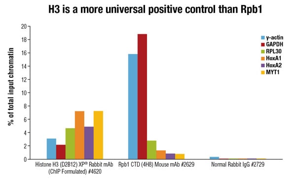 H3 is a more universal positive control than Rpb1
