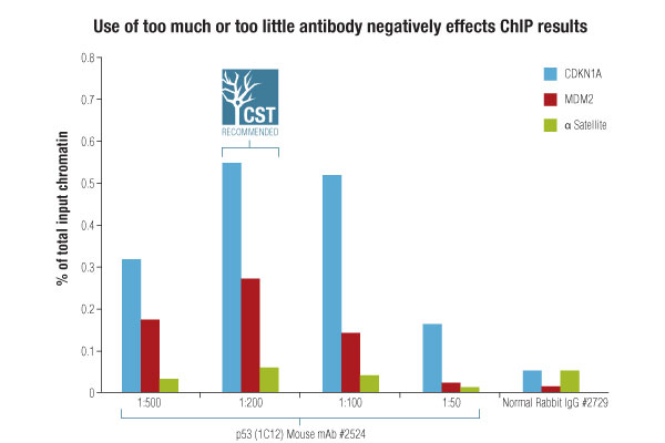 ChIP-Validated Antibody from CST