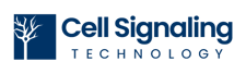 2021 CST LOGO BLUE-1 2021 CST LOGO BLUE-1