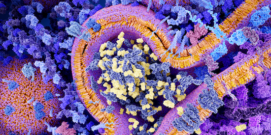 CAR-T therapy cellular landscape