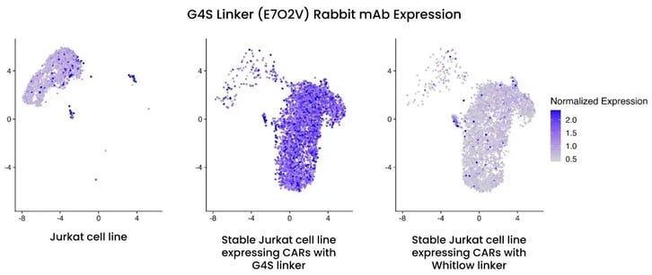 38470_G4S anti-CAR Linker InTraSeq Conjugate