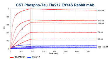 BLI Data: CST Phospho-Tau T217 Rabbit Monoclonal Antibody