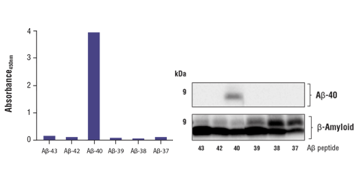 FastScan β-Amyloid (1-40) ELISA Kit #20882_AD