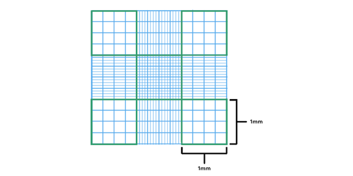 Hemocytometer Neubauer chamber