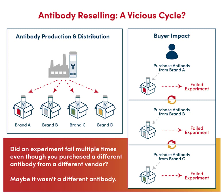 Image-Infographic-Reselling-Cycle-Supply-Chain-2