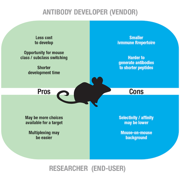 Pros and cons mouse host antibody copy