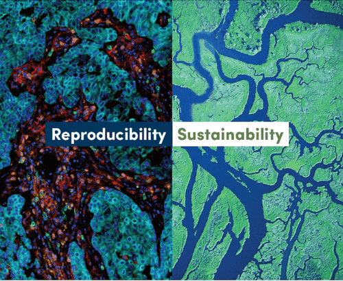 Reproducibility and sustainability at CST