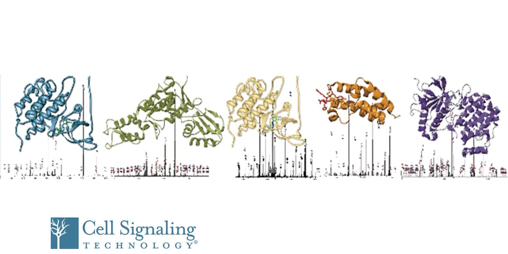 Webinar: Post Translational Modifications: Antibody Enrichment for Mass Spectrometry-based Proteomics