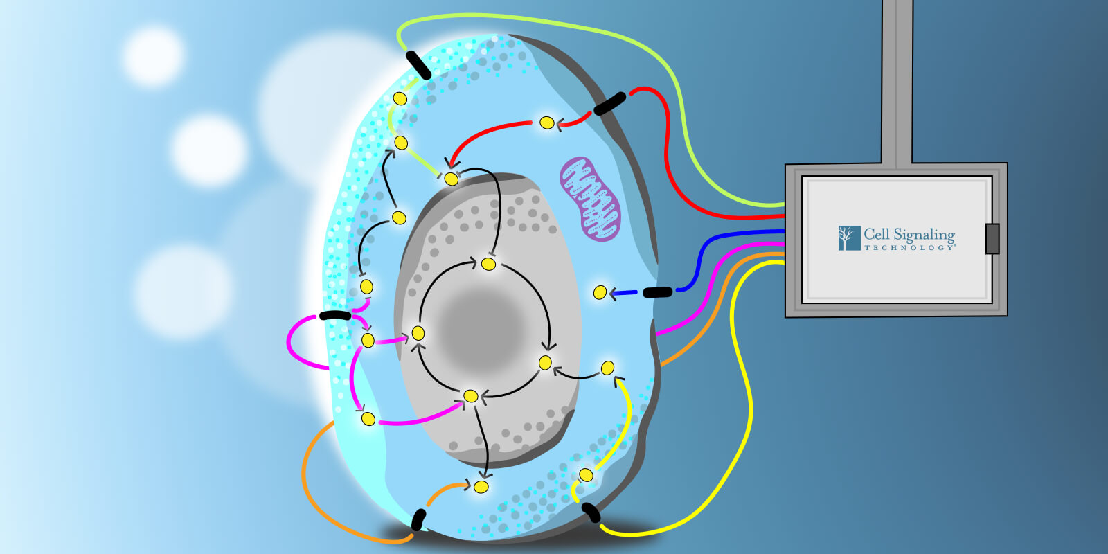 18_BCH_14503_Blog_Signaling_Wiring_1600x800