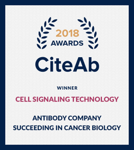 2018 Antibody Company Succeeding in Cancer Research
