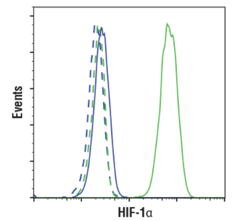 CST Antibody: HIF-1α (D1S7W) XP® Rabbit mAb 