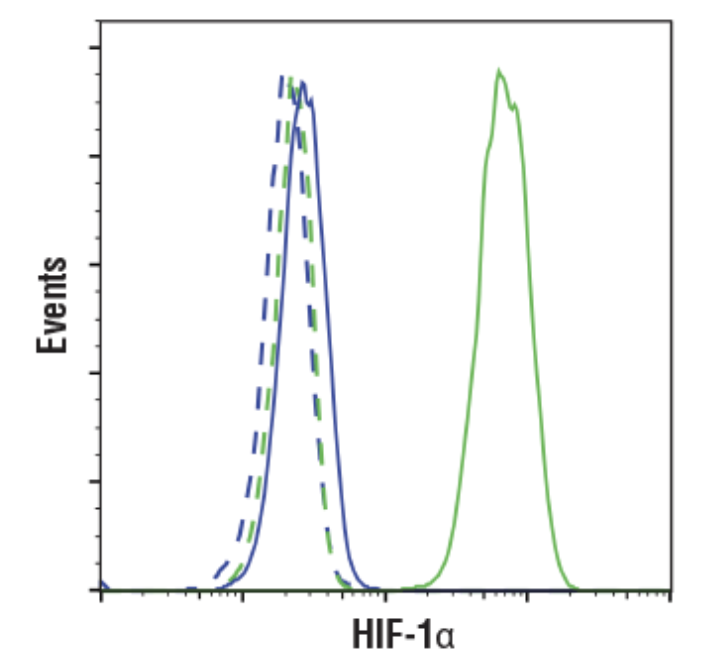 CST Antibody: HIF-1α (D1S7W) XP® Rabbit mAb 