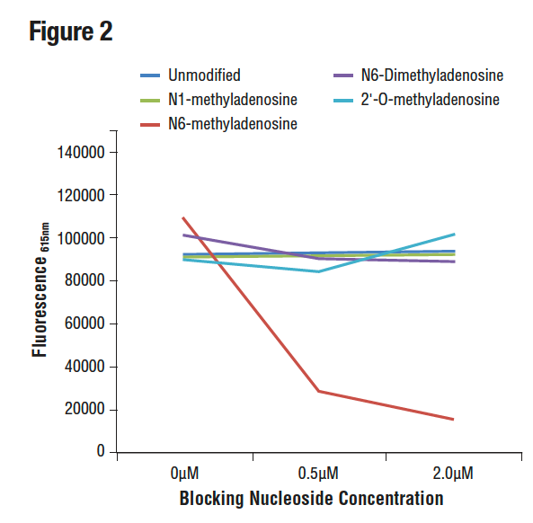 The graph depicts the binding of the antibody to a pre-coated m6A oligonucleotide in the presence of increasing concentrations of differentially modified adenosine. As shown in the graph, antibody binding is only blocked by free m6A nucleoside.