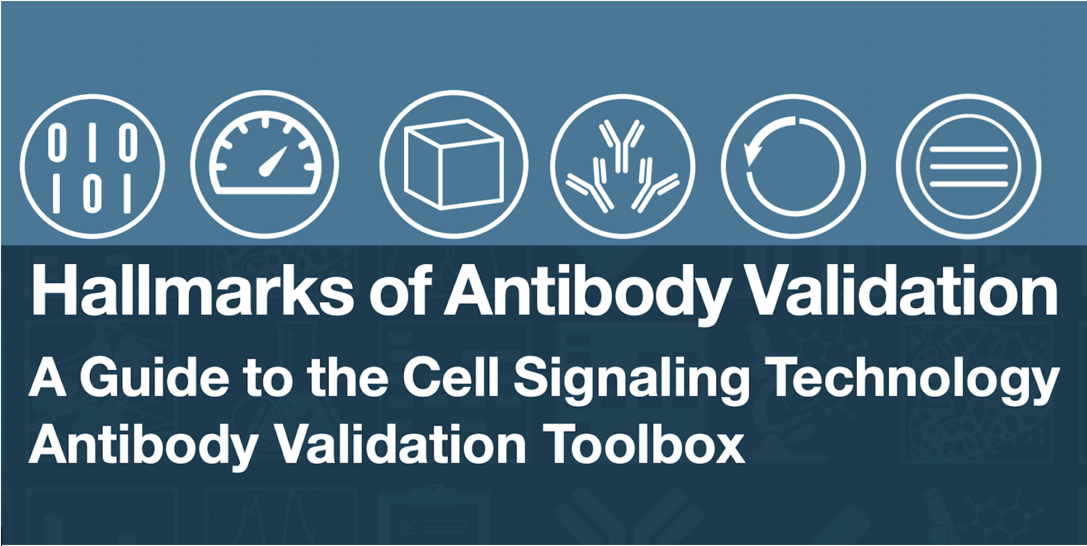 Hallmarks of Antibody Validation Overview