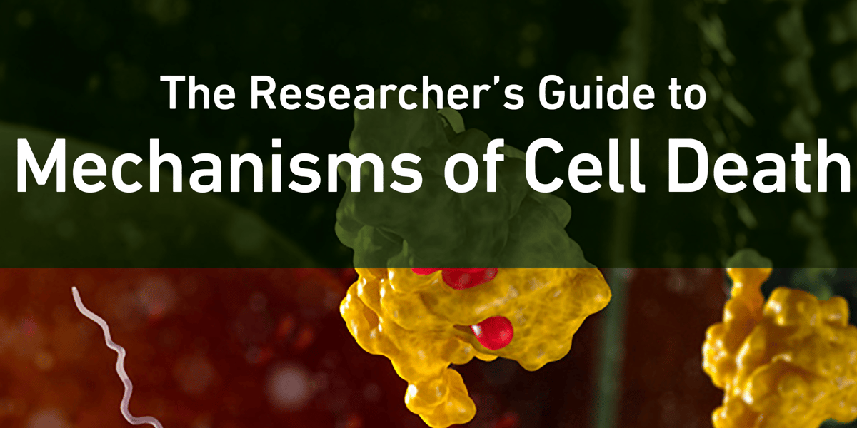 Mechanisms of Cell Death: Pyroptosis