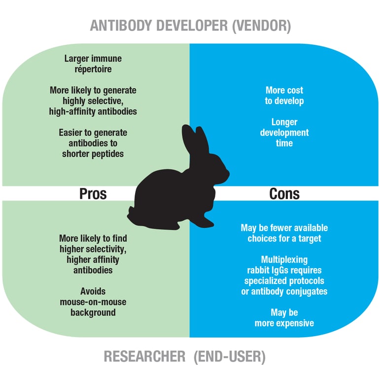 Antibody Essentials Part 4: Polyclonal vs Monoclonal Antibodies