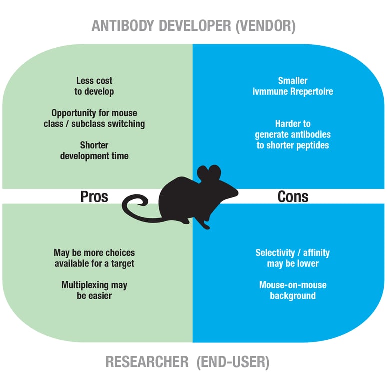 Antibody Essentials Part 4: Polyclonal vs Monoclonal Antibodies Antibody Essentials Part 4: Polyclonal vs Monoclonal Antibodies