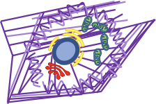 21-EMG-75937 Figure 1