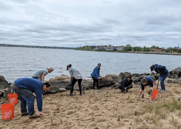 Cell Signaling Technology and Salem Sound Watershed volunteer day