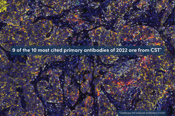 9 of the 10 most cited primary antibodies of 2022 are from CST*