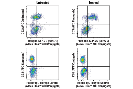 Flow cytometric analysis peripheral blood mononuclear cells treated with Rapid-Act T Cell Activation Kit (Human, Anti-CD3/CD28)