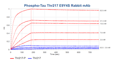 CST BLI data_Phospho-Tau (Thr217) (E9Y4S) Rabbit mAb