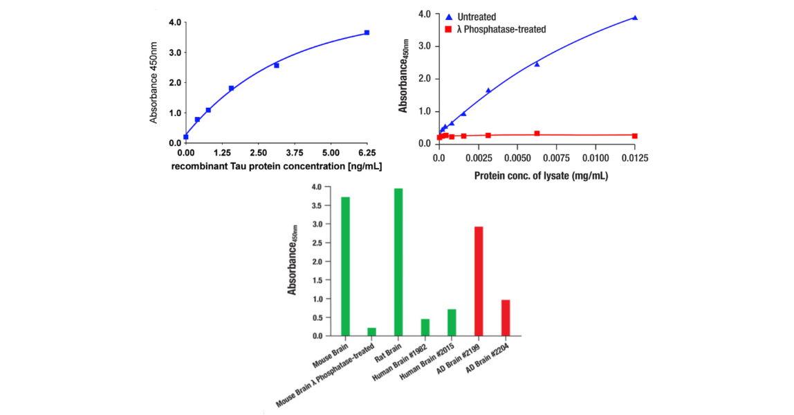 Evaluation of the PathScan RP Phospho-Tau (Thr217) Sandwich ELISA Kit #59672