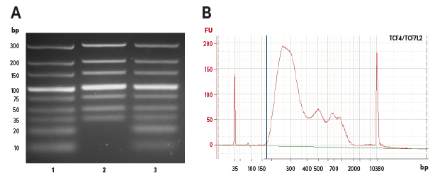 Comparison of DNA purification methods for ChIP CUTRUN CUTTag