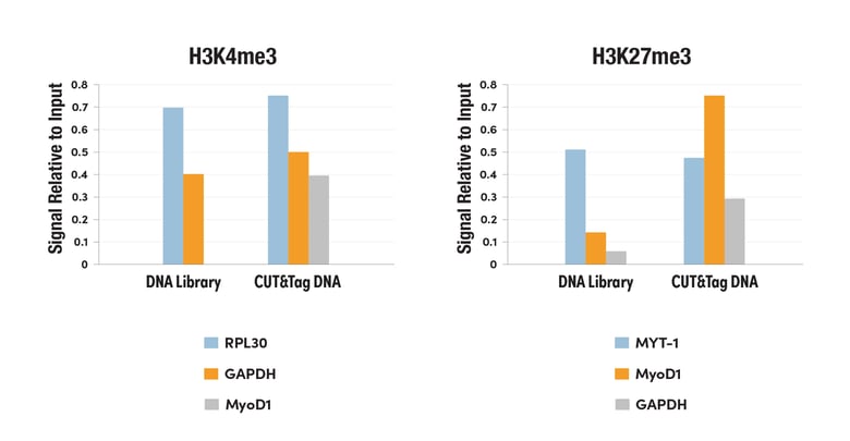 CUT&Tag DNA library generates qPCR data with much higher signal-to-noise ratios