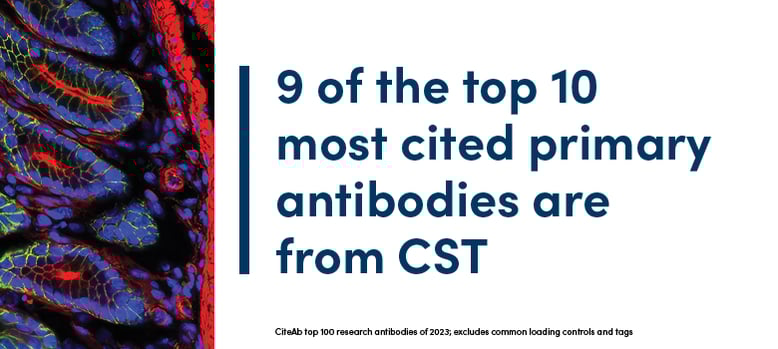 According to CiteAb, 9 of the top 10 research antibodies of 2023 are from CST
