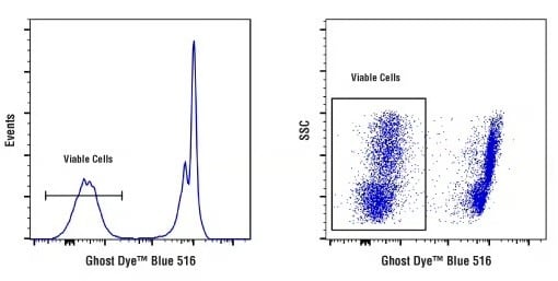 Flow cytometry detection of non-viable mouse bone marrow cells labeled and gated with GhostDye™ Blue 516 Viability Dye.