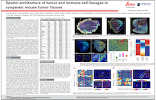 AACR Poster_Leica-CST-Spatial-biology_thumbnail2