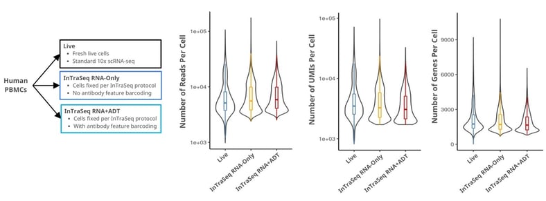 10x Genomics Chromium detection of RNA in live cells vs InTraSeq protocol treated cells