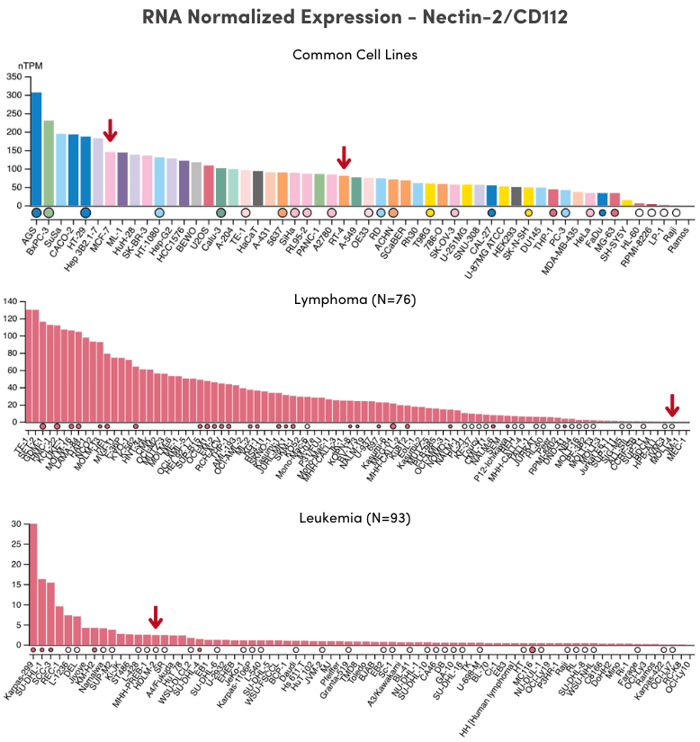 Human Protein Atlas_Normalized RNA Nectin-2