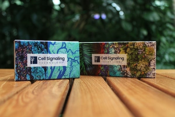 Cell Signaling Technology Sustainable Packaging