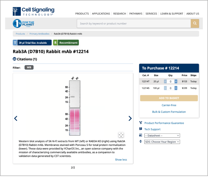 CST Rab3A antibody YCharOS Validation Data_border