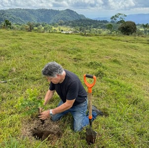 Klinki planting for cst_compressed
