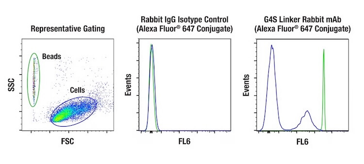 CAR T cell detection positive control_small