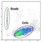 CAR T cell detection positive control_thumbnail