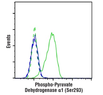 Flow cytometry analysis of HeLa cells using Phospho-PDHA1 (Ser293) recombinant monoclonal antibody.