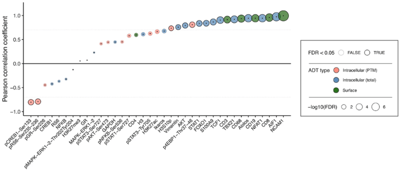 Correlation between mRNA and protein