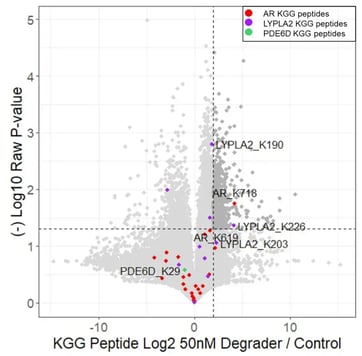 Volcano plot of PTMScan ubiquitin remnant peptides showing AR sites reduced and LYPLA2 sites increased in ubiquitination after ARCC4 treatment, with PDE6D unchanged.