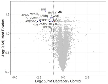 Volcano plot of global proteome changes in LNCaP cells showing AR and additional proteins significantly downregulated after ARCC4 treatment compared with control.