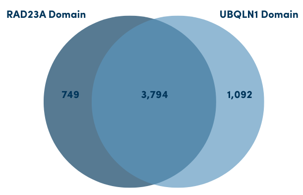 proteins detected using Ubiquitin TUBE‐RAD23A vs TUBE‐UBQLN1