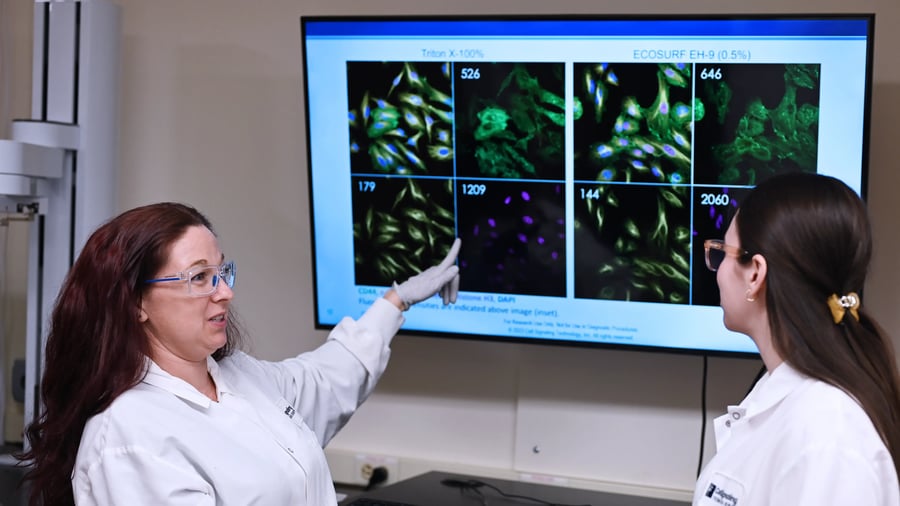Photo of CST scientist Amanda Davidson reviewing IF testing data for the Triton-X replacement.
