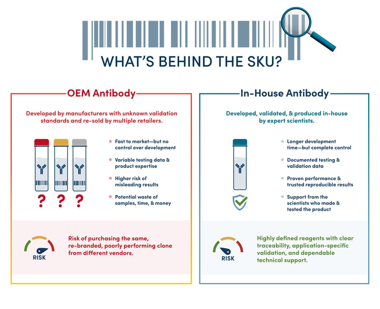 26-BRE-73300-SEP26-Antibody-Supply-Chain---Blog-Image-3
