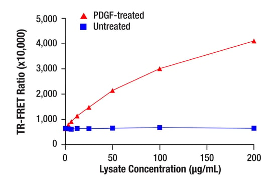 TR-FRET antibody pair‑based assay measuring phospho‑PDGF Receptor β levels in NIH/3T3 cell lysates, showing increasing TR‑FRET ratio with higher lysate concentrations for PDGF‑treated samples compared with untreated controls in a 384‑well plate format.