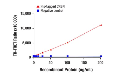  TR‑FRET target engagement assay using His‑tagged CRBN recombinant protein, showing increasing TR‑FRET ratio with higher His‑CRBN concentrations compared to a negative control in a 384‑well plate format.