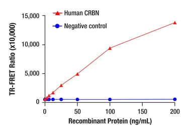 TR‑FRET assay measuring CRBN protein levels with Europium cryptate‑ and Alexa Fluor 647–conjugated CRBN antibodies, showing increasing TR‑FRET ratio with higher human CRBN recombinant protein concentrations compared to a negative control in a 384‑well plate format.