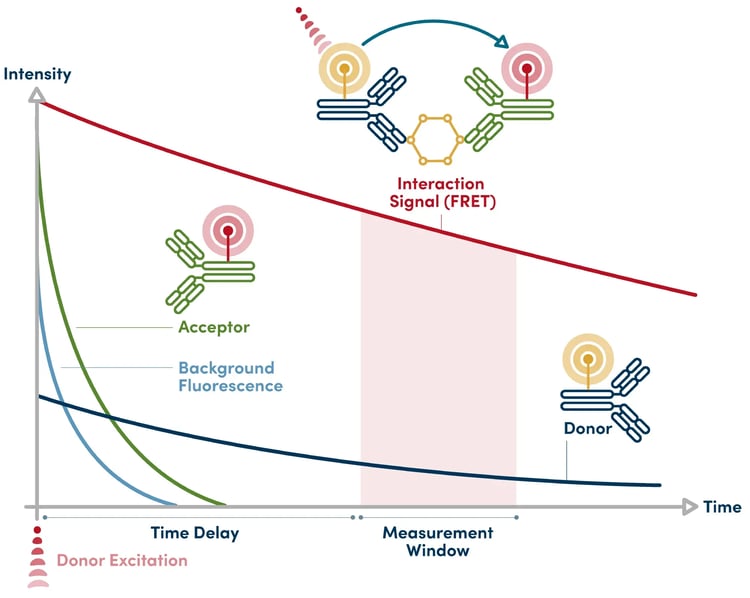 Diagram graph showing the events that occur during time-gated TR-FRET detection.